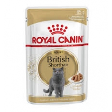 Royal Canin Sobre British...