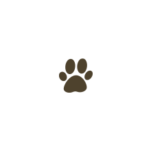 Suplementos Cuidado del Pelo y Piel de los Gatos  | CrazyPet Mascotas