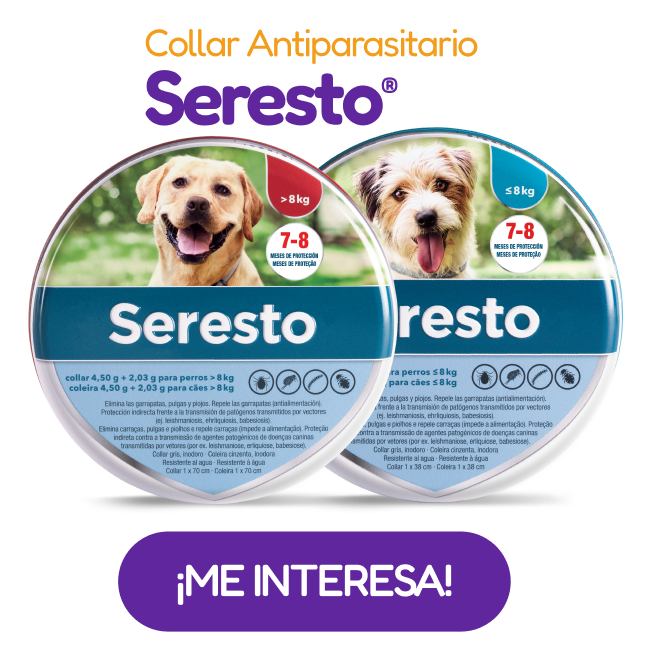  Tu Tienda Online de Mascotas Líder España
